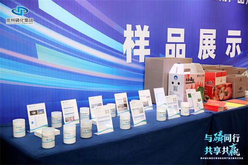 贵州磷化集团 以数字文创赋能石膏绿色应用，引领产业服务新交流